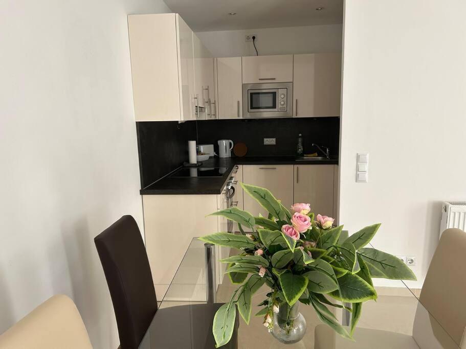 Apartment Merkur 维也纳 外观 照片
